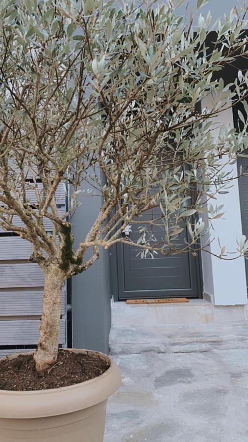 My Home Ioannina Ngoại thất bức ảnh